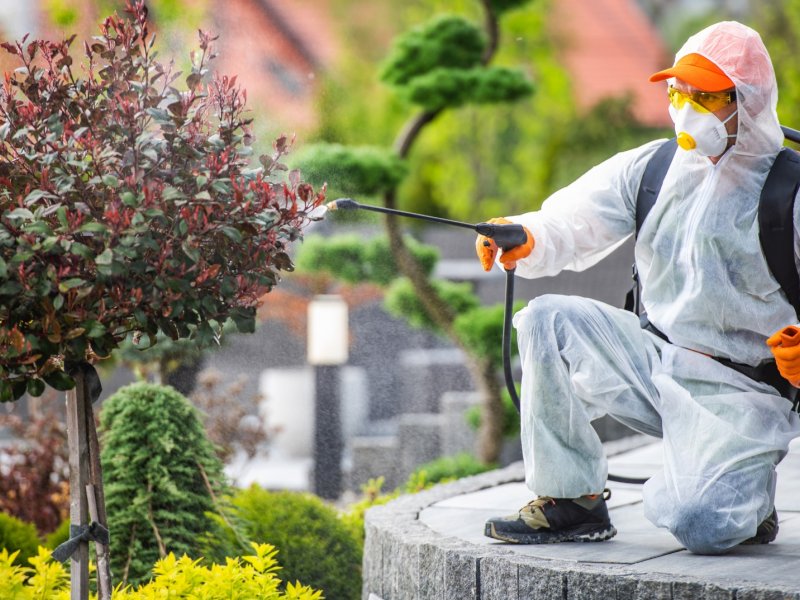 Uzundere Haşere İlaçlama